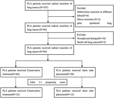 The safety and efficacy of additional chest tube placement in patients with prolonged air leaks after pulmonary resection: a propensity score-matched analysis